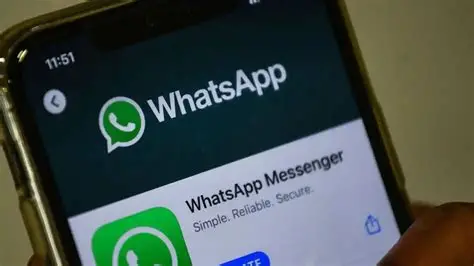 电脑版WhatsApp怎么装?最新官方下载避坑指南