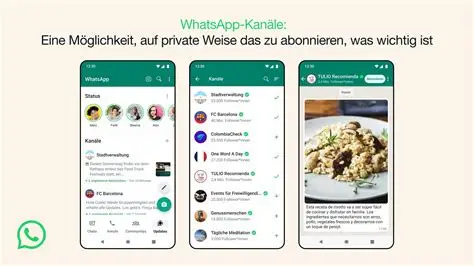 WhatsApp照片突然打不开？试试这6个解决方法